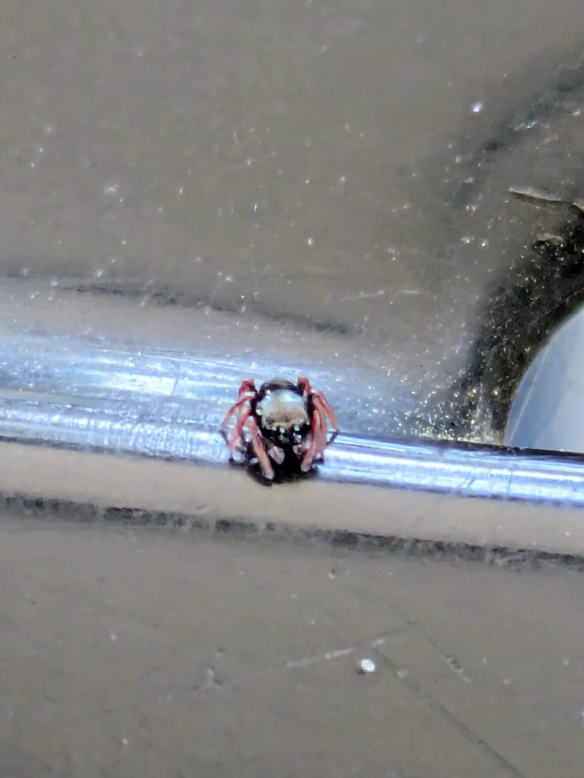 pxl 20240320 190248173~2