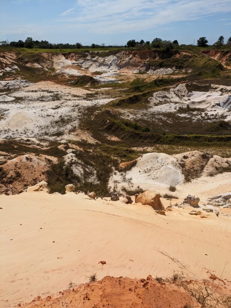 pxl 20240404 195122930