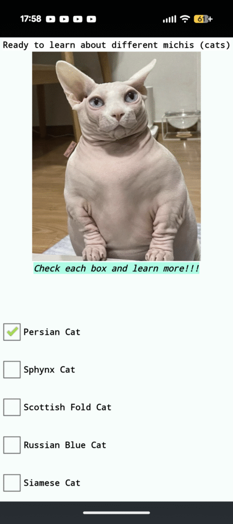 screenshot 20250916 175847