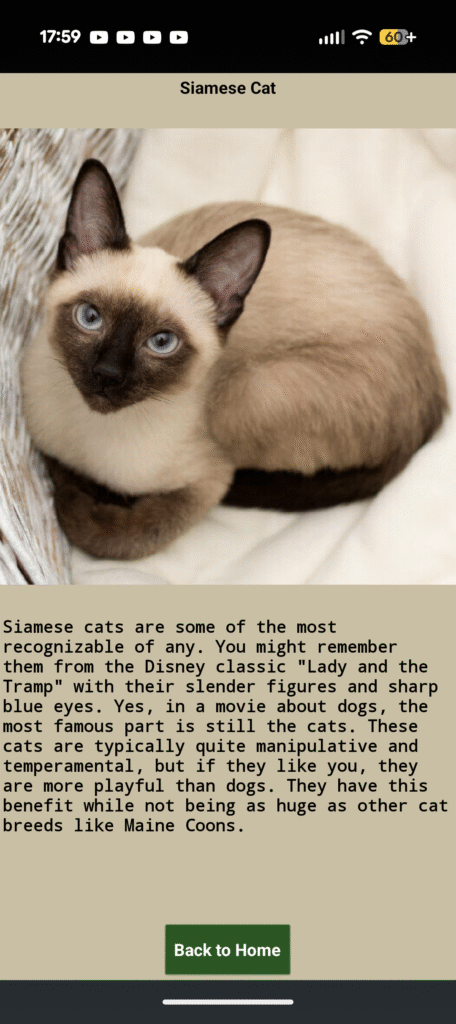 screenshot 20250916 175927