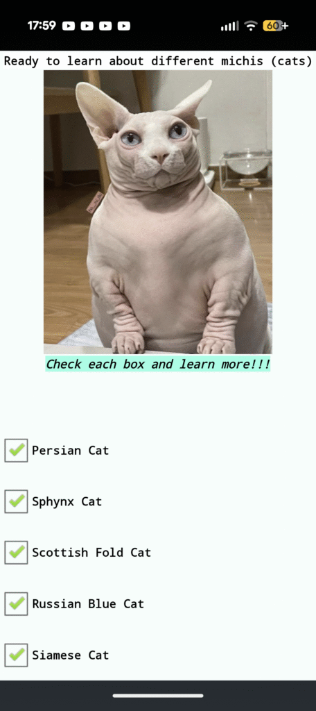 screenshot 20250916 175938