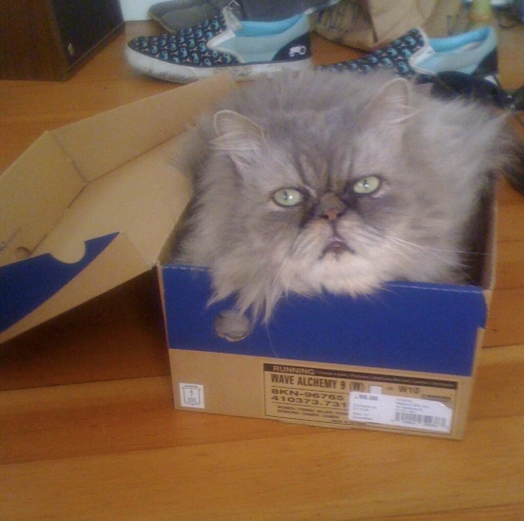 Working with App Inventor d420ea24 0da7 4b0c 813c 12782ee53bfd 1148x1142