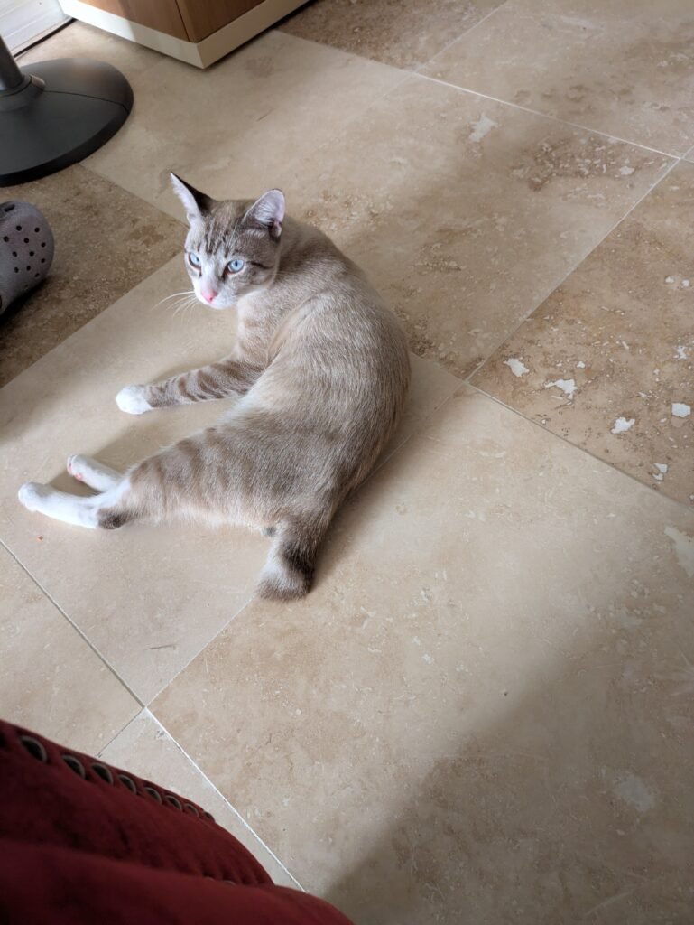 pxl 20250815 205151427